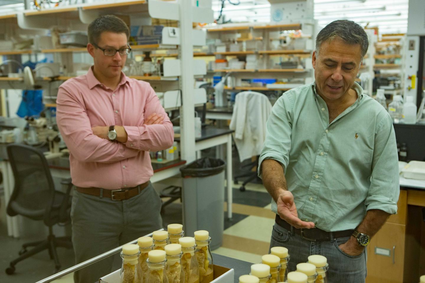 Michal Polak, University of Cincinnati