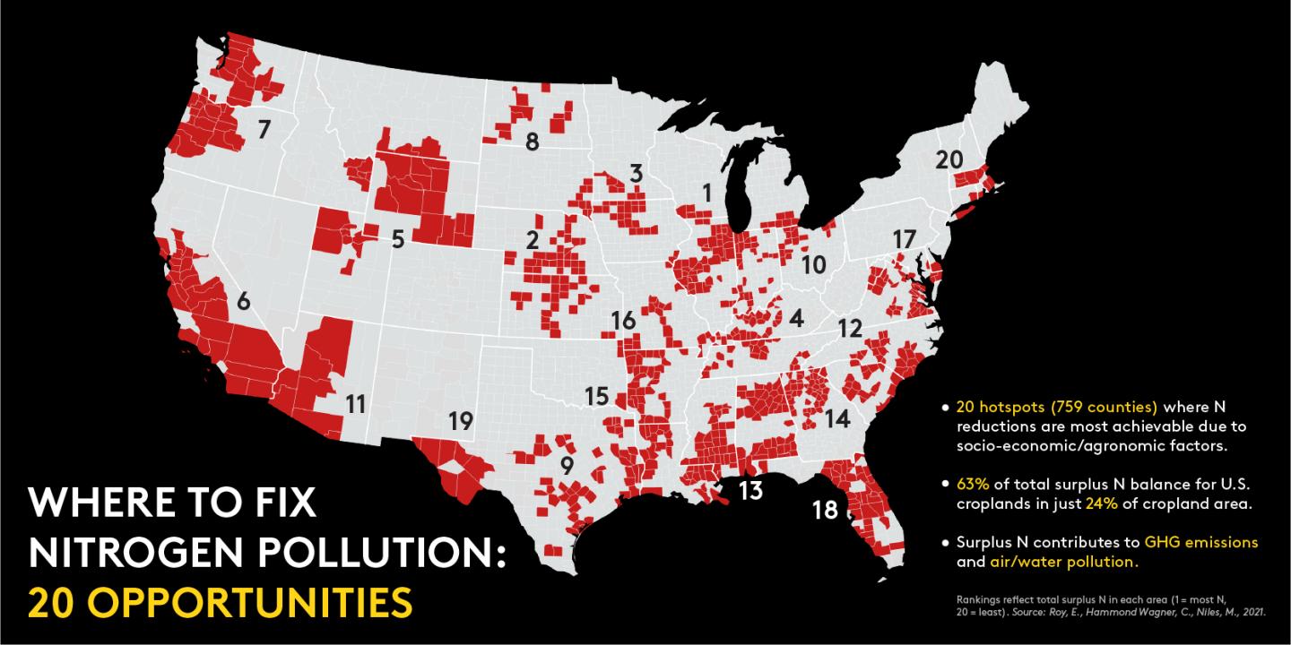 Where to fix nitrogen pollution: 20 opportunities