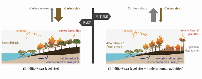 Past and future image