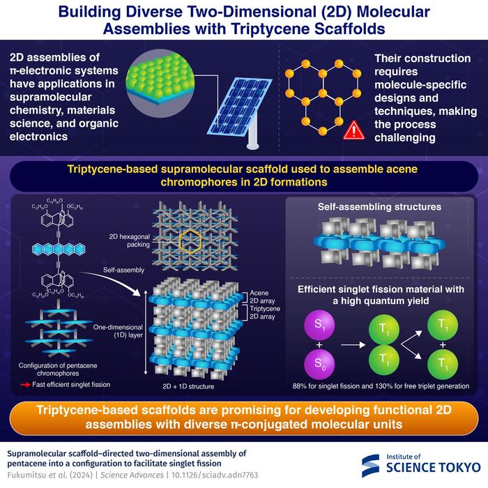 Building Diverse Two-Dimensional (2D) Molecular Assemblies with Triptycene Scaffolds