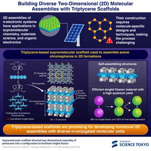 Building Diverse Two-Dimensional (2D) Molecular Assemblies with Triptycene Scaffolds