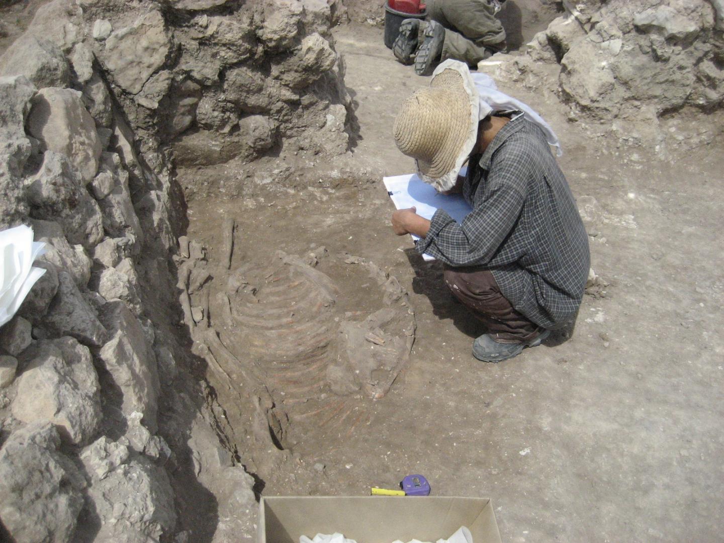 Early evidence of use of a bit on domestEarly Evidence of Use of a Bit On Domestic Donkeys Found in 