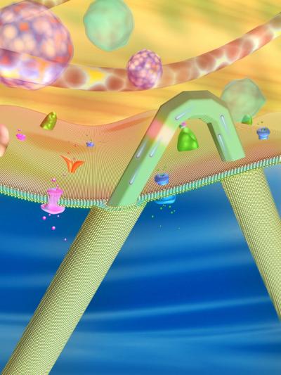 Kinked-Nanowire Electronic Sensor