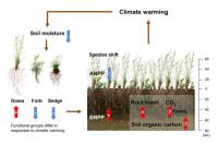 A Conceptual Model of the Impact of Warming on Ecosystem Processes