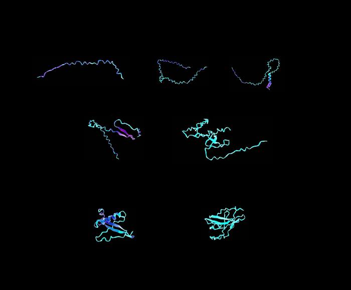 Sample visualizations of designer protein biomaterials