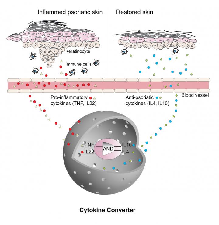 "Designer Cell" Implants Detect and Treat Psoriasis