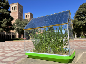 Greenhouse with solar panels