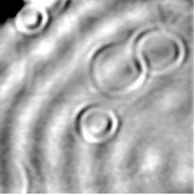 Spherical Patterns on a Copper Surface