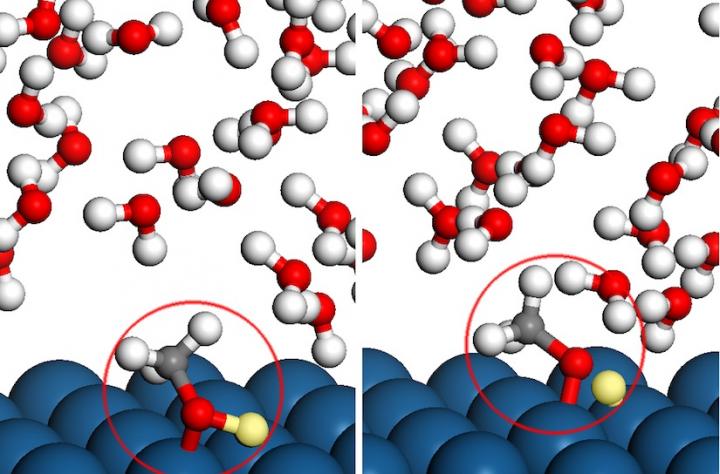Methanol Molecules
