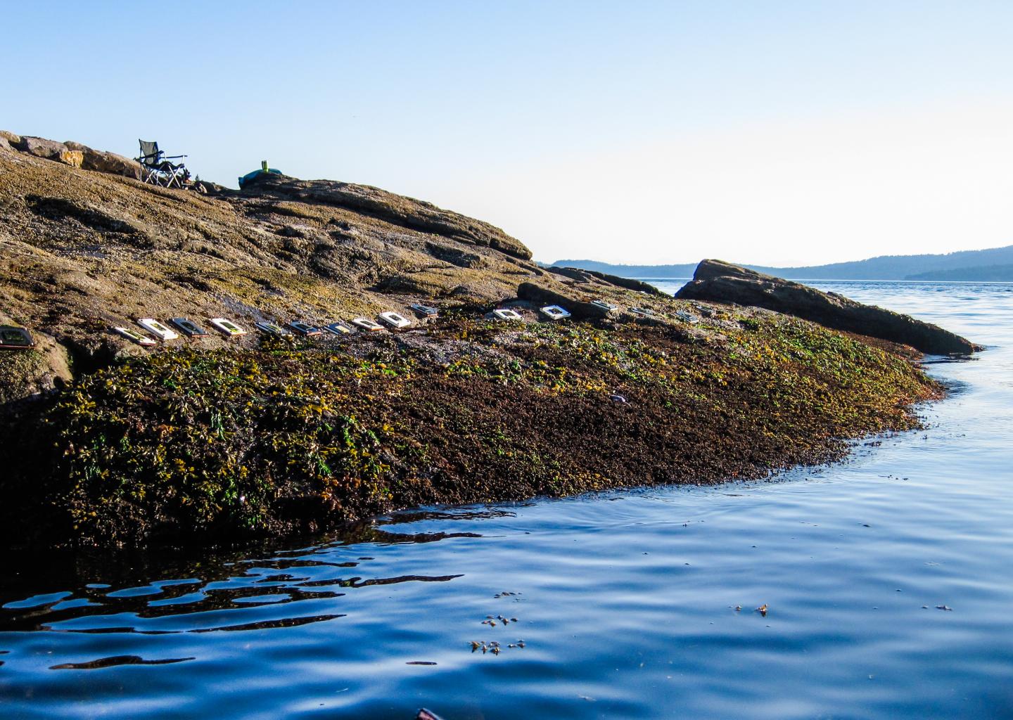 Field site: Ruckle Park, British Columbia
