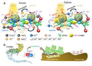 Researchers Design Nano Primary Battery System for Remediating Diverse Heavy Metal Ions