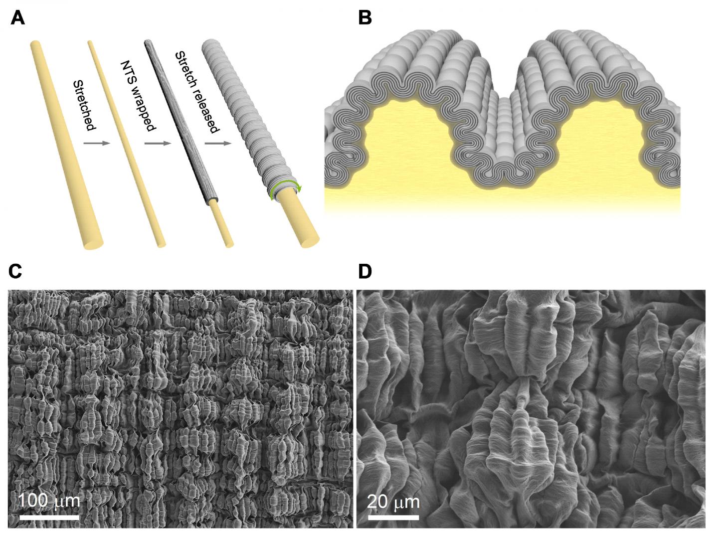 Hierarchically Buckled Sheath-Core Fibers