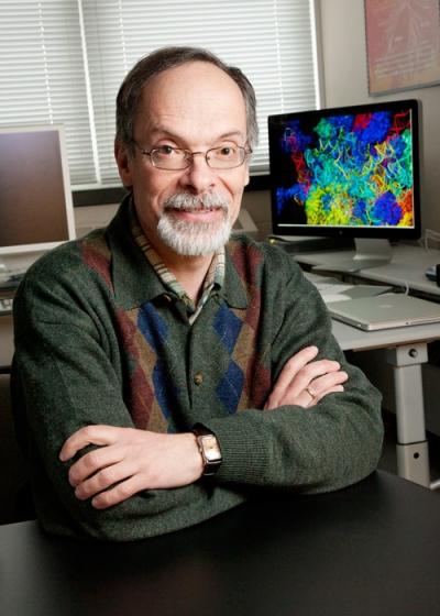 Gustavo Caetano-Anollés, University of Illinois at Urbana-Champaign