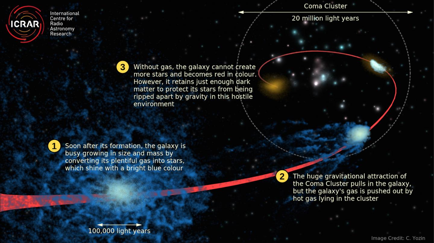 A Galaxy Falling into the Coma Cluster