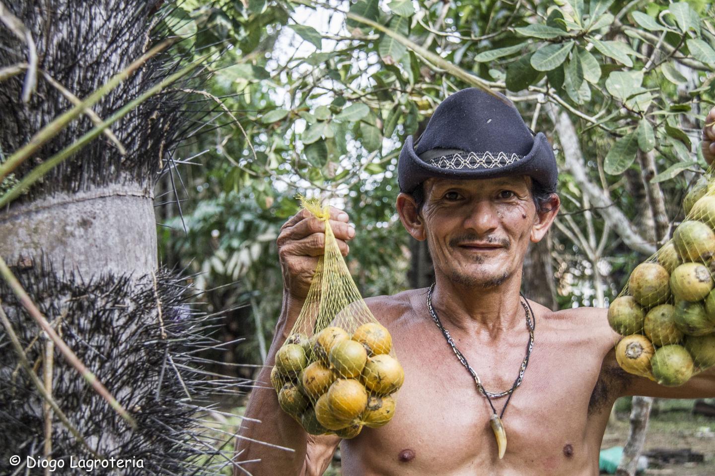 Plant Dominance in the Amazon Is Shaped by Pa | EurekAlert!