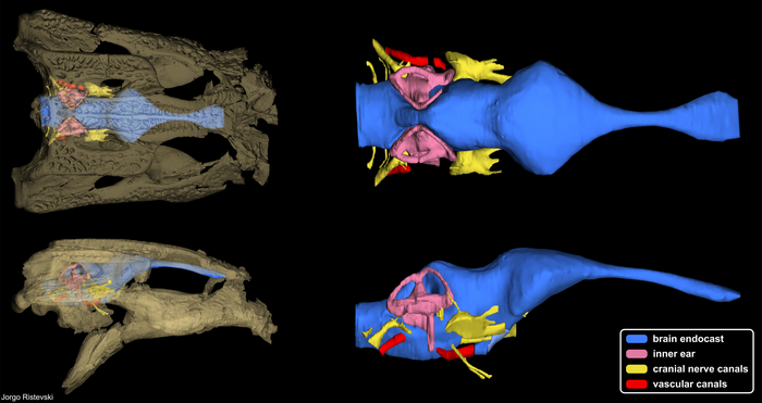 Digital reconstruction