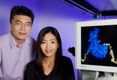 Taekjip Ha and Sua Myong, University of Illinois at Urbana-Champaign