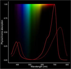 light spectrum