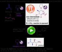 A New Intermediate for Aldehyde-Nitroalkene Reaction