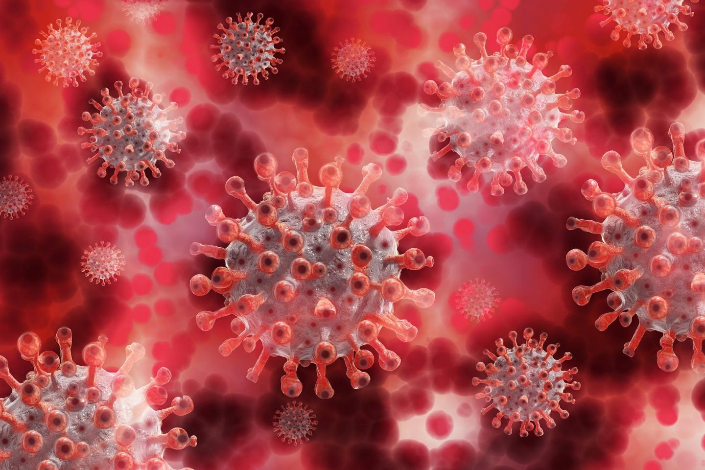 Coronavirus image