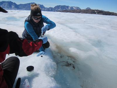 Stefanie Lutz and Liane G. Benning, University of Leeds