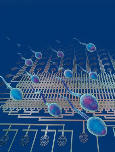 Scientists Take Unprecedented Snapshot of Single Sperm Cell's Genome