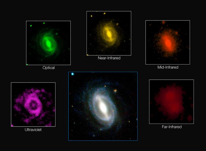 Galaxy Images, GAMA Survey