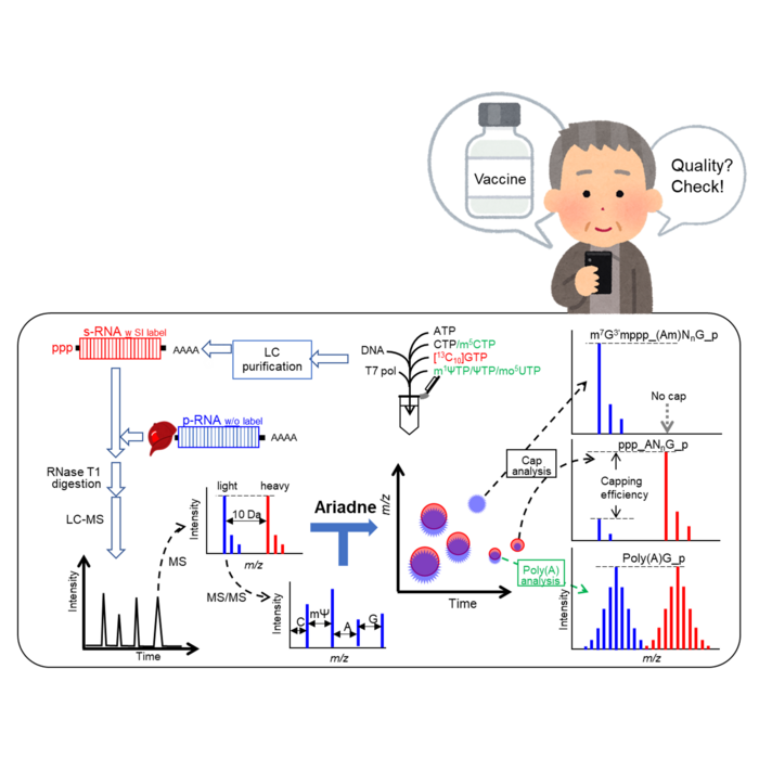 Schematic of the new analytical platform.