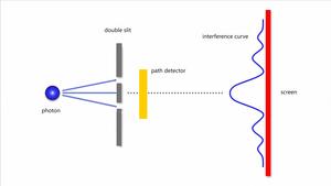 Figure 1 | Diagram of the double-slit interference experiment.