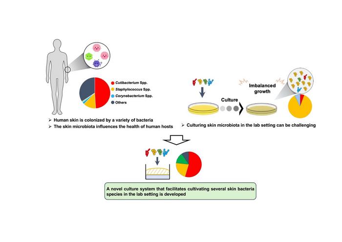 Novel Culture System for Balanced Skin Microbiota Research