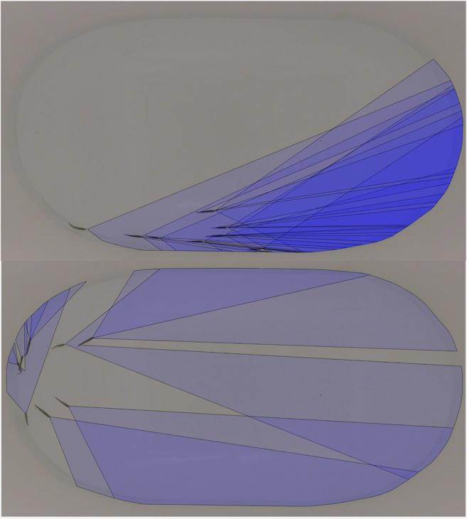 Binocular Visual Fields of Orderly and Disorderly Sticklebacks