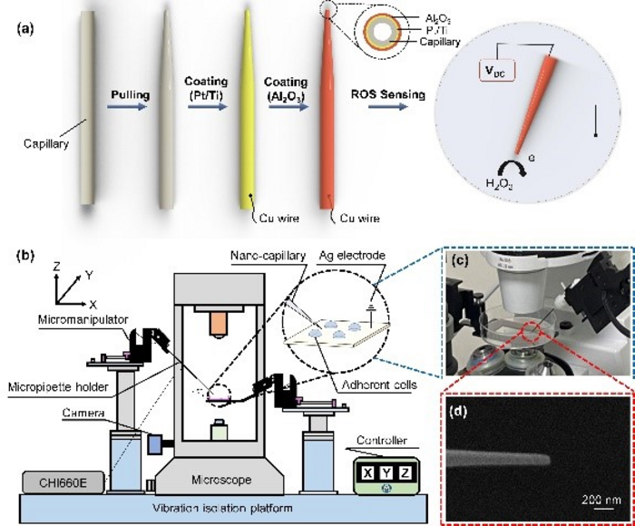 The automated system for intracellular electrochemical sensing