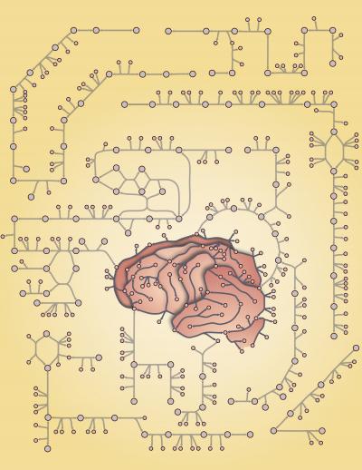 Metabolism Models may Explain Why Alzheimer’s Disease Kills Some Neuron Types First