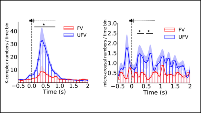 The brain pays attention to unfamiliar voices during sleep