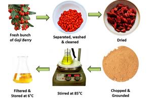 An illustration of the preparation of goji berries for silver nanoparticle synthesis.