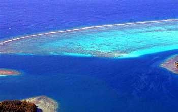 Mo'orea Coral Reef Long-Term Ecological Research