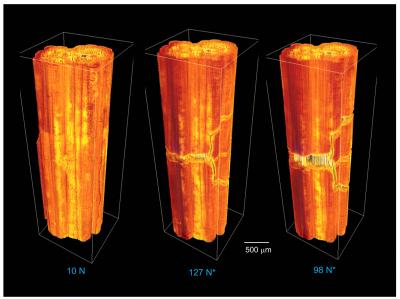 Microcracks in Ceramic Composites