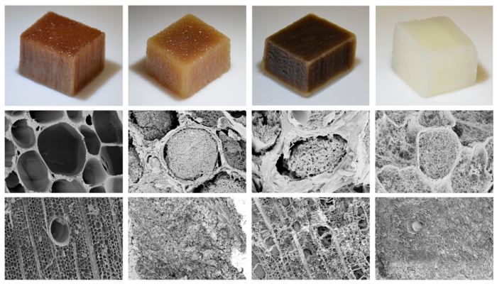 Nanoengineered wood for renewable electricity