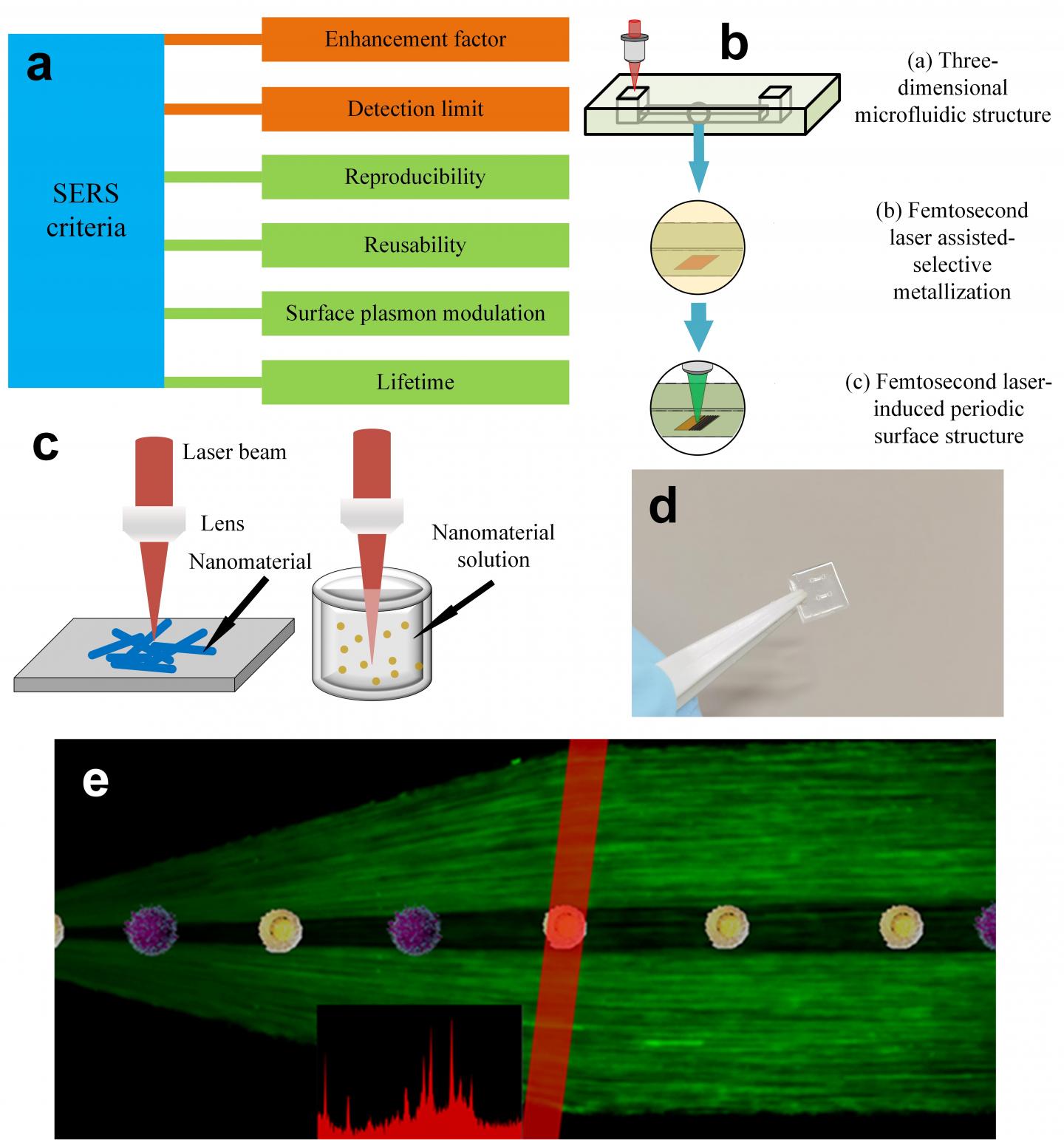 Figure |Fabrication of SERS substrates and chips and criteria for evaluation of SERS performance.