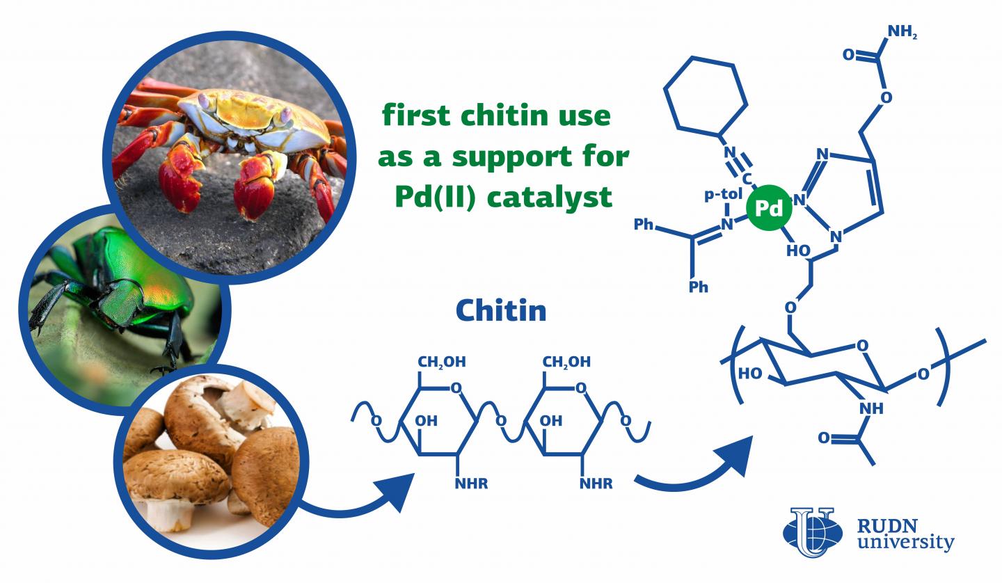 Chemists from RUDN University Used Crab Shells to Improve Palladium Catalysts