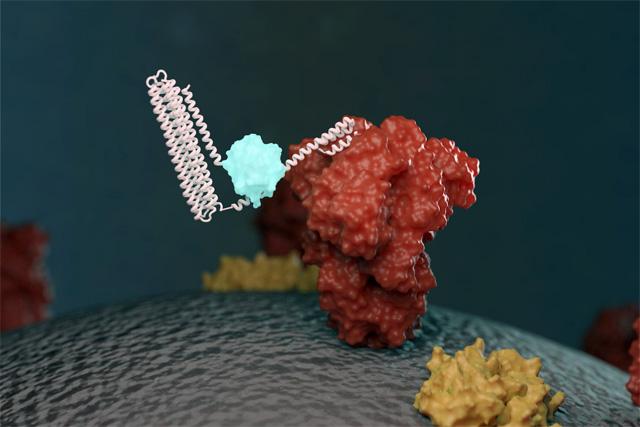 Illustration of biosensor binding to molecule & emitting light