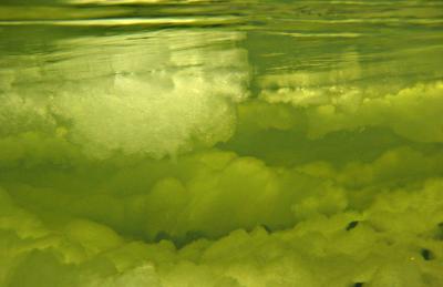 Winter Conditions for Fish