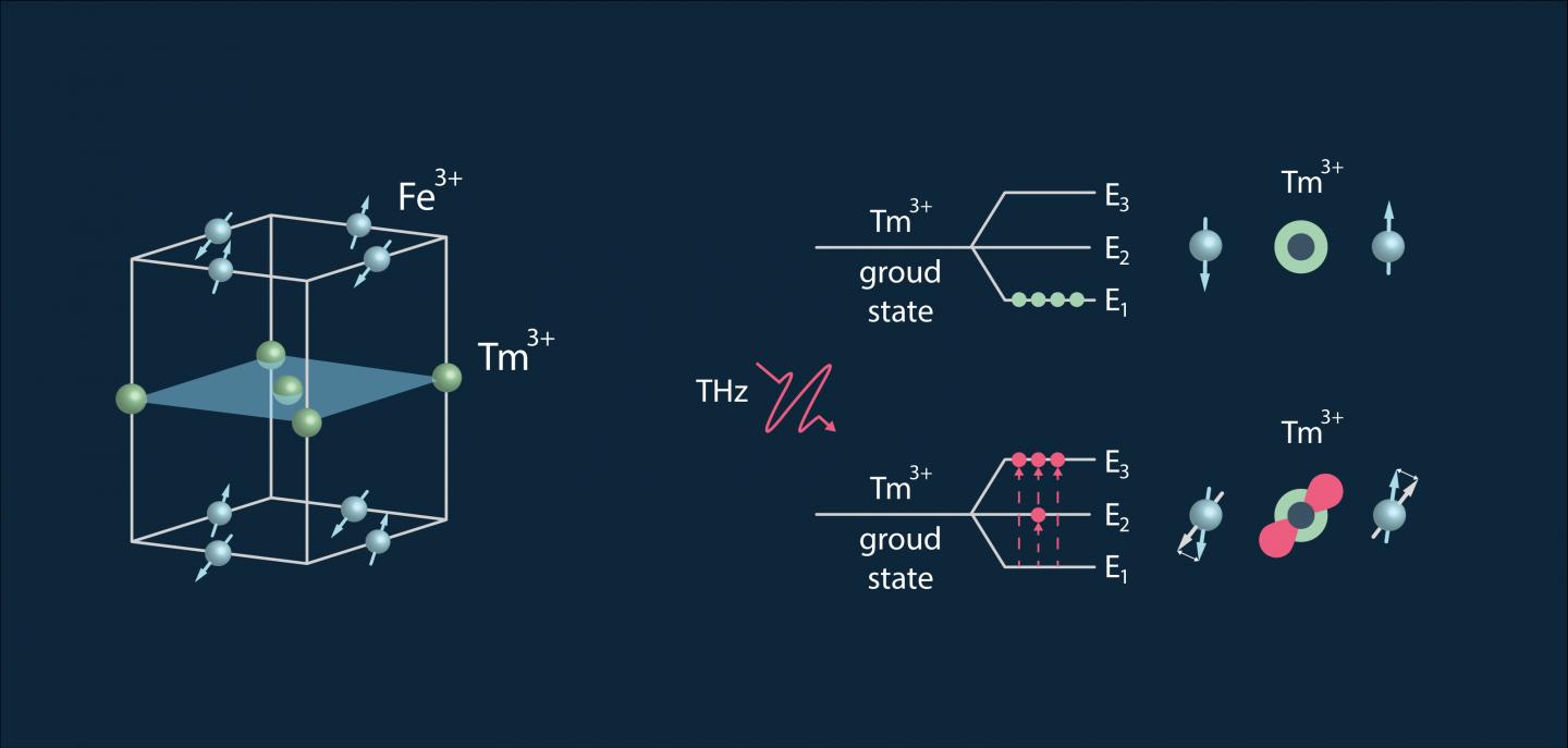 Spin and Lattice Structure of Thulium Orthoferrite