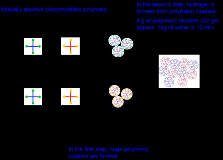 Two-Step Process for Accelerated Gel Formation