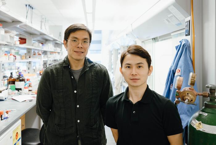 Hans Renata and Kenta Yokoi in Renata’s lab at Rice