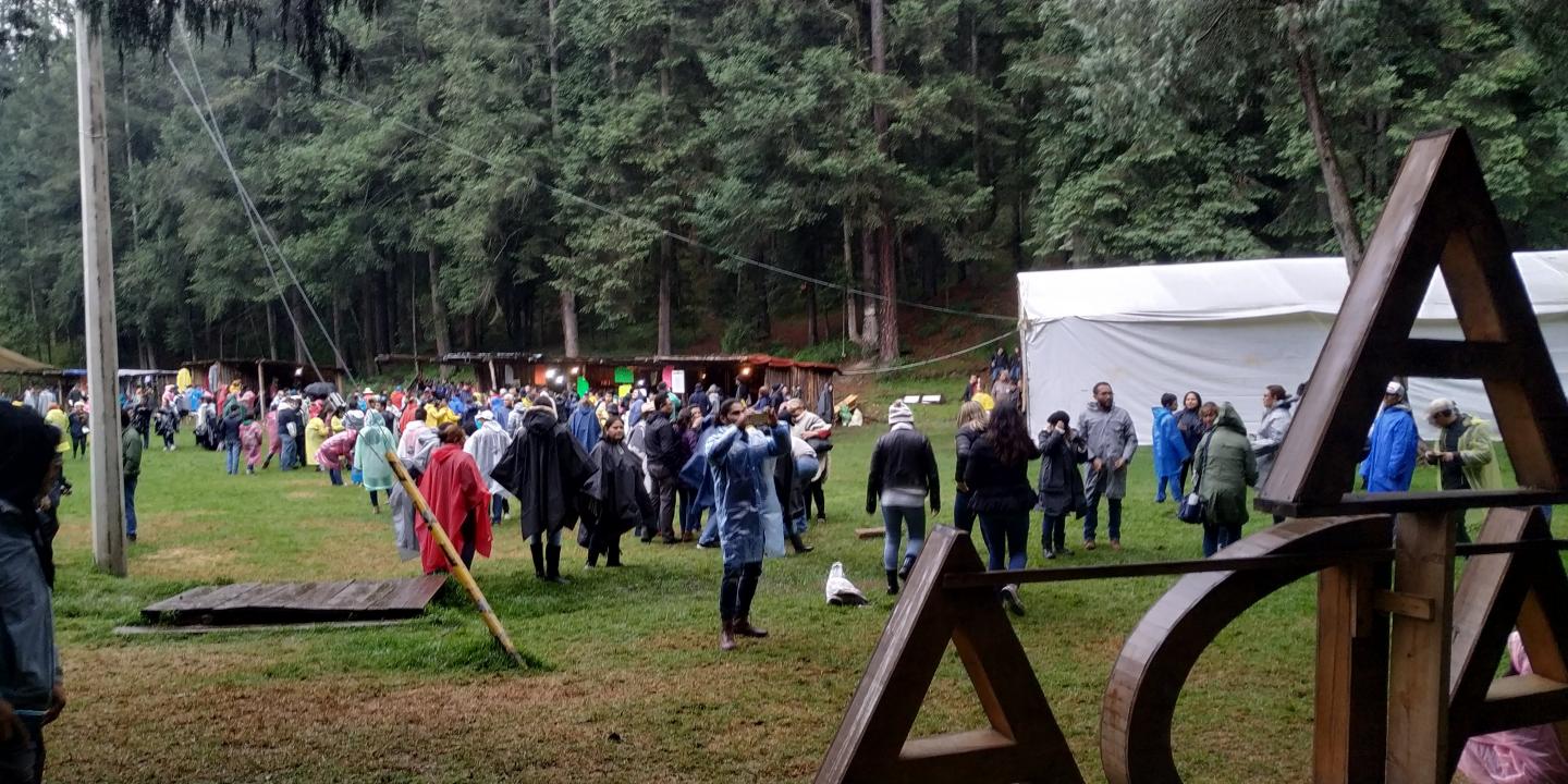 Tourists in Mexico follow guides into the forest