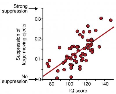 Better Filtering, Higher IQ