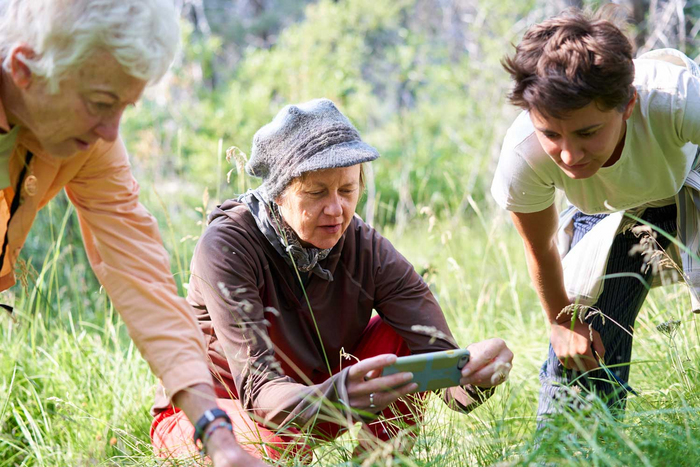 Citizen Scientists