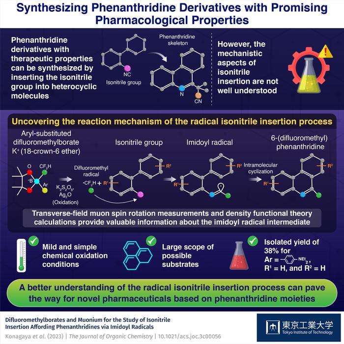 Synthesizing Phenanthridine Derivatives with Promising Pharmacological Properties