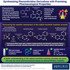 Synthesizing Phenanthridine Derivatives with Promising Pharmacological Properties